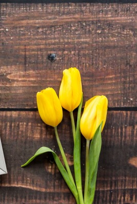 желтые тюльпаны тюльпаны фоторамка деревянные доски