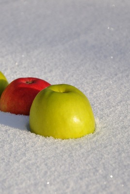яблоки снег зима
