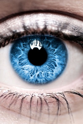 голубые глаза макро взгляд