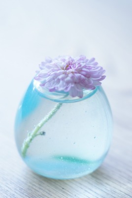 ваза цветок минимализм