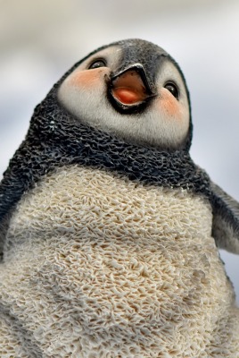 пингвин статуэтка