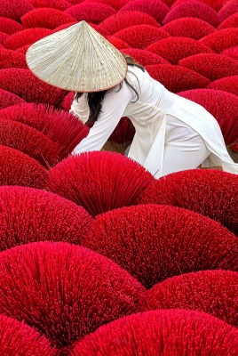 растения красный девушка япония