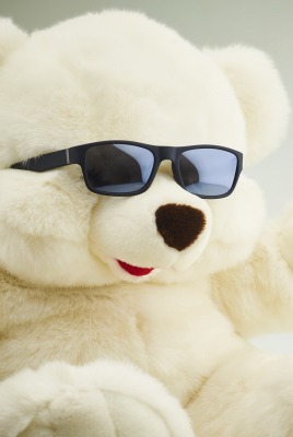 медведь белый плюшевый очки юмор