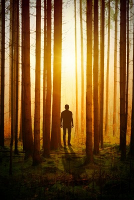 мужчина силуэт лес деревья свечение