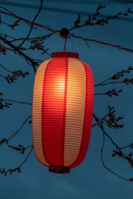 фонарь ветка япония