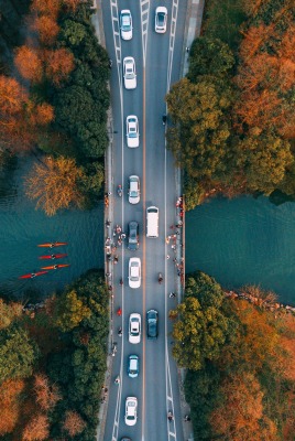 дорога мост деревья пролив вид сверху