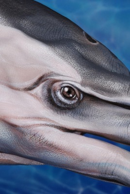 Дельфин рисунок на руке