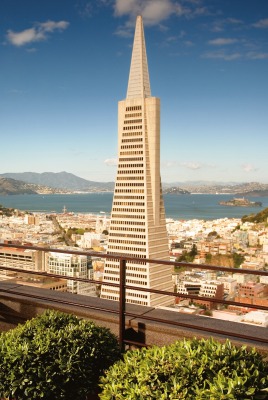 Сан-Франциско США город страны архитектура