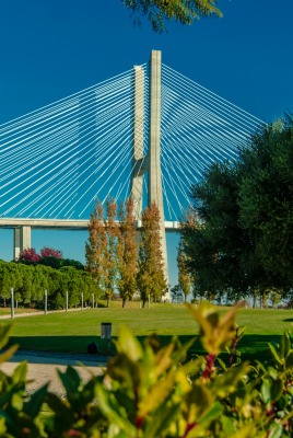 Мост парк