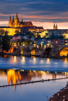 страны архитектура вечер Германия country architecture evening Germany