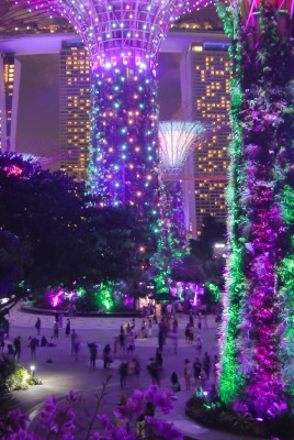 сингапур парк подсветка декорации