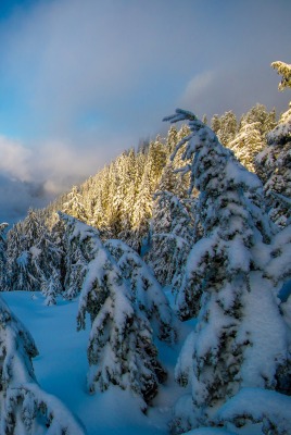 природа скалы горы снег деревья зима