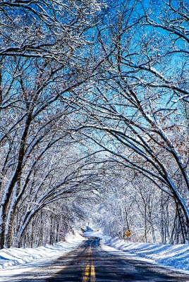 дорога снег зима аллея
