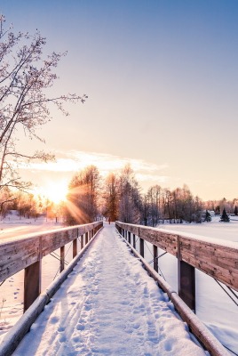 природа зима мост деревья