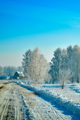 зима снег дорога деревня