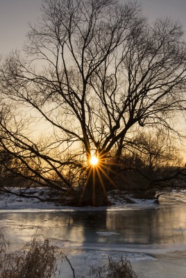 река зима рассвет дерево