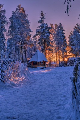 снег зима забор на закате