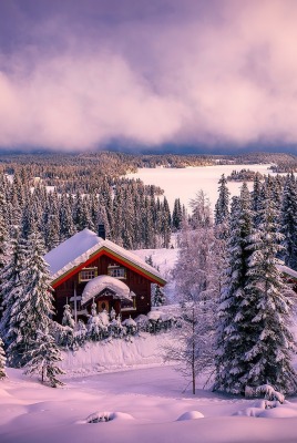 зима снег лес дом склон