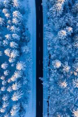дорога высота вид сверху снег зима