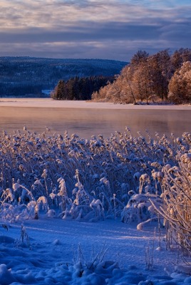 зима озеро снег утро