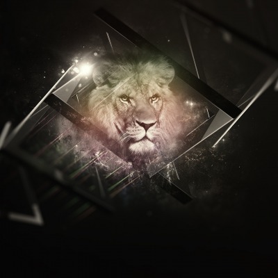 лев графика lion graphics