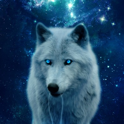 волк космос голубые глаза