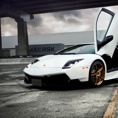 белый спортивный автомобиль lamborghini murcielago