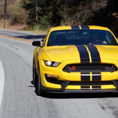 Ford Mustang Shelby дорога деревья