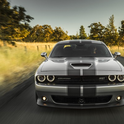 dodge challenger вид спереди дорога деревья скорость