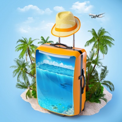 чемодан шляпа пальмы
