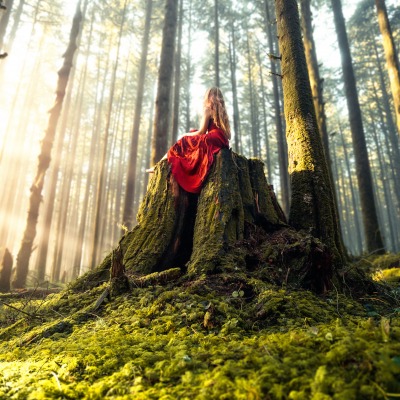 девушка пень лес