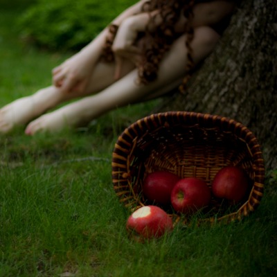 Яблоки в корзинке