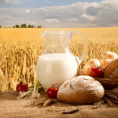 молоко пшеница хлеб