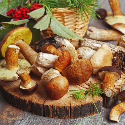 еда грибы food mushrooms