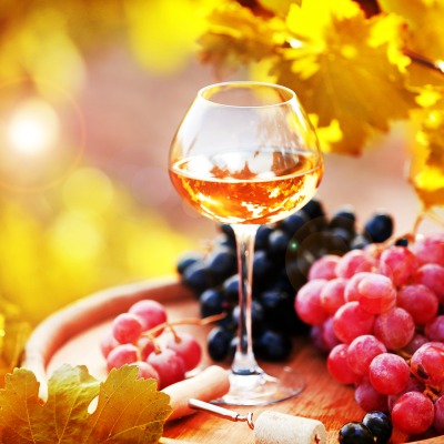 еда вино виноград