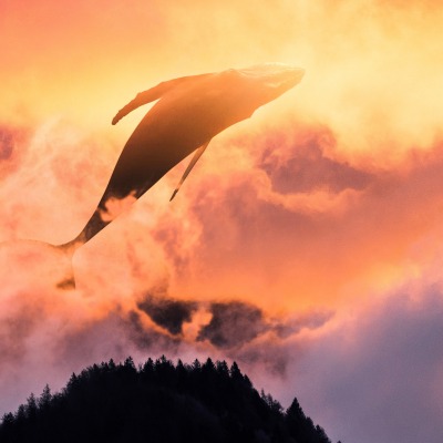 кит облака фантастика дымка