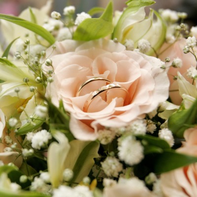 нежно-кремовые свадебные розы