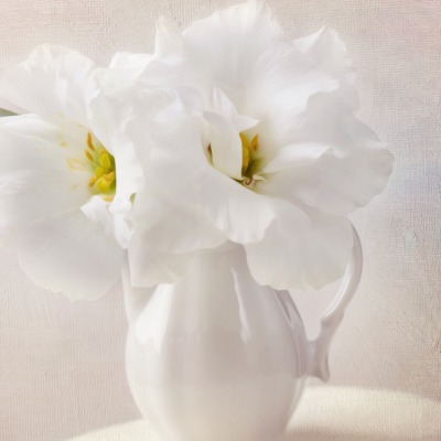 белые цветы ваза