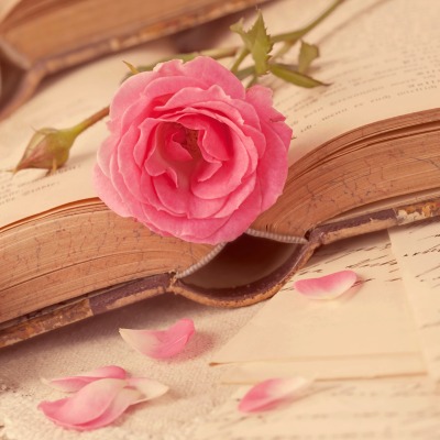любовь цветок роза книга