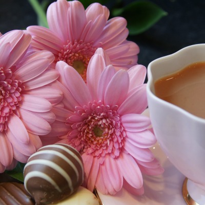 природа цветы чай еда сладости и конфеты