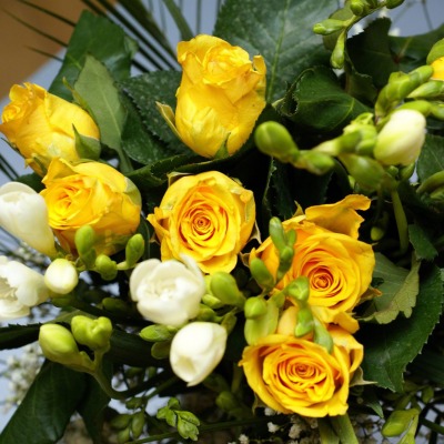 природа цветы розы желтые белые букет nature flowers rose yellow white bouquet