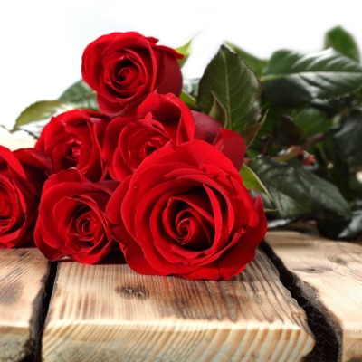 розы букет rose bouquet