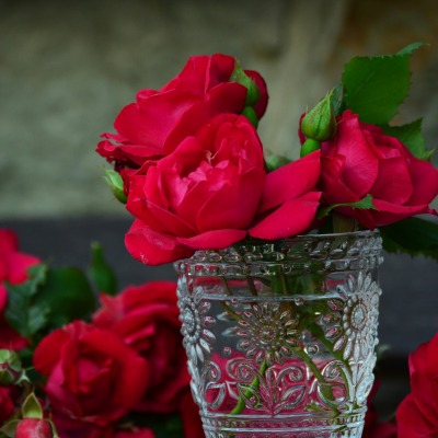 розы цветы стакан
