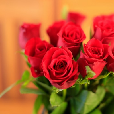 цветы розы букет бутоны
