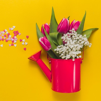 тюльпаны букет цветы минимализм лейка
