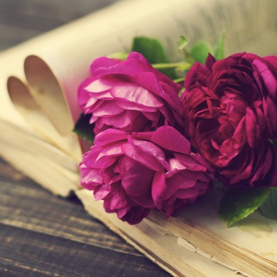розы книга на столе