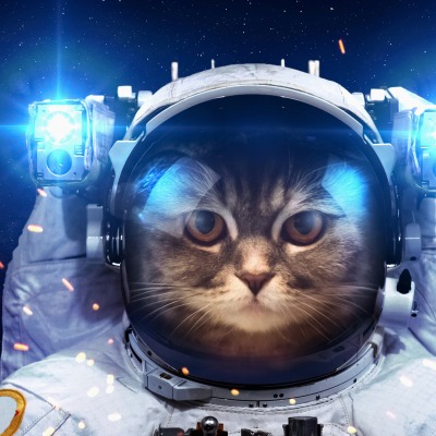 Кот-космолет космонавт кот юмор