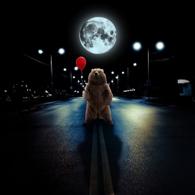медведь ночь шарик луна дорога юмор