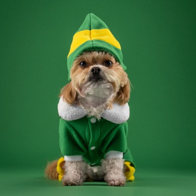 собака костюм новогодний зеленый