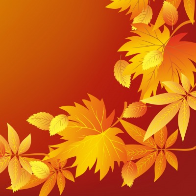 графика иллюстрация листья природа осень